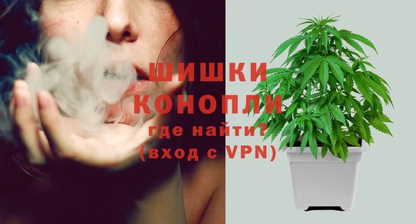 ПСИЛОЦИБИНОВЫЕ ГРИБЫ Белокуриха