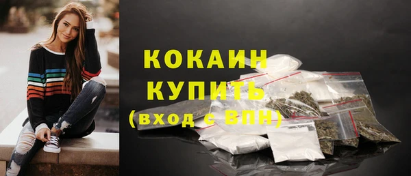 прущие грибы Бронницы