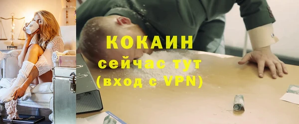 ПСИЛОЦИБИНОВЫЕ ГРИБЫ Белокуриха