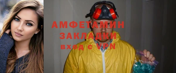прущие грибы Бронницы