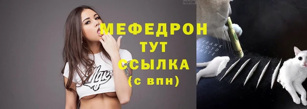 прущие грибы Бронницы