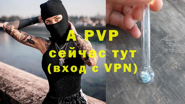 мяу мяу мука Бугульма