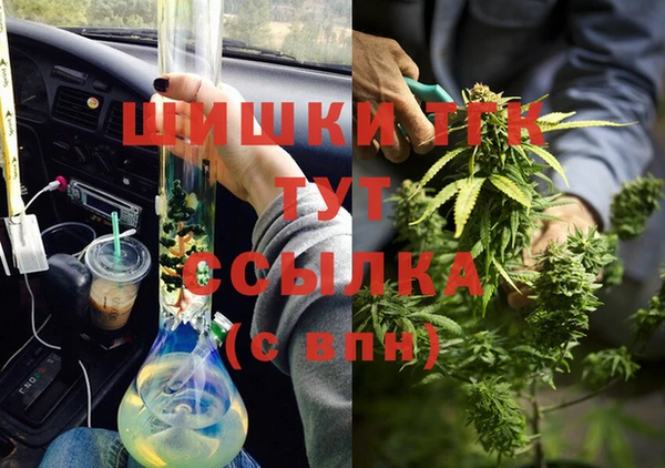прущие грибы Белоозёрский