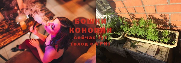прущие грибы Белоозёрский