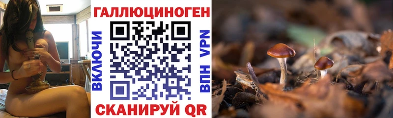 Псилоцибиновые грибы Magic Shrooms  Белёв 